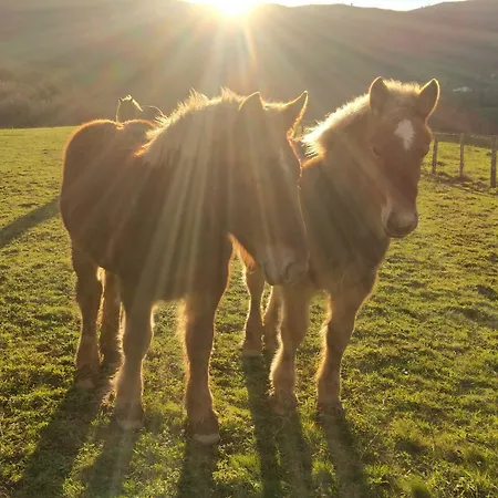 La Grange D'etxexuria * Lantabat