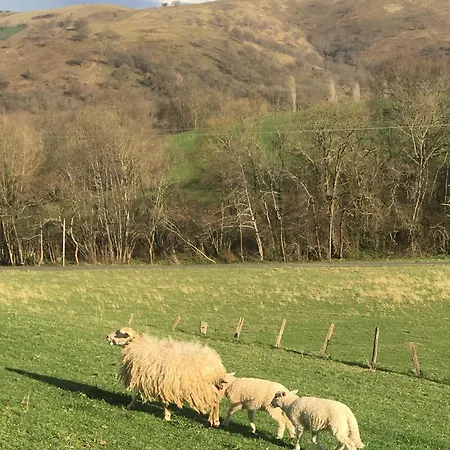 La Grange D'etxexuria דירה *