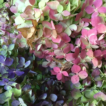 La Grange D'etxexuria *