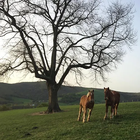 La Grange D'etxexuria * Lantabat