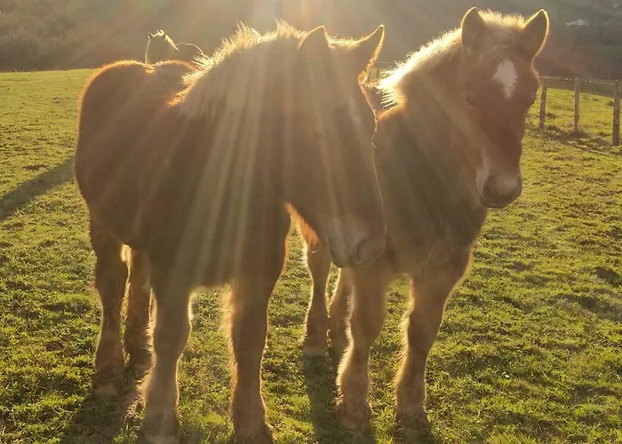La Grange D'etxexuria * Lantabat