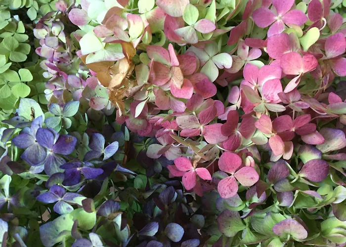 La Grange D'etxexuria *