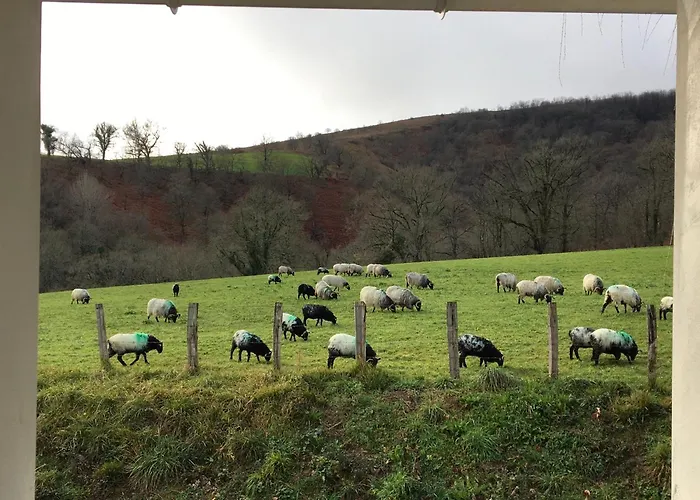 La Grange D'etxexuria Appartement *