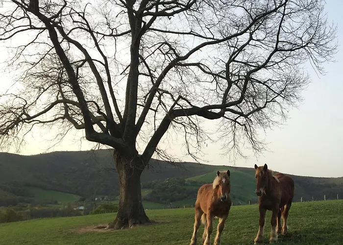 La Grange D'etxexuria * Lantabat